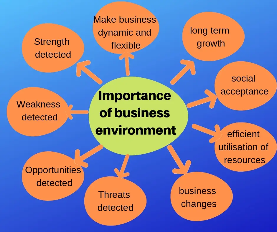 definition of business environment by authors