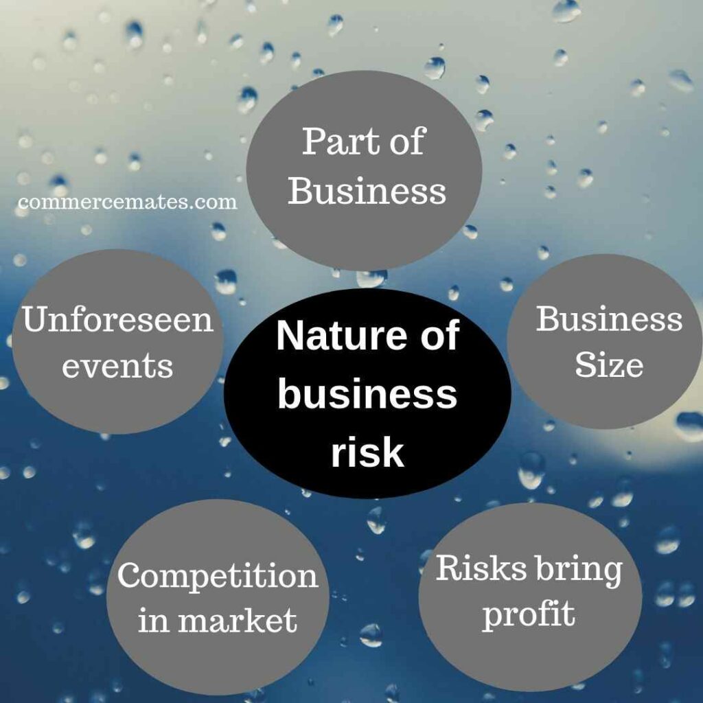 Nature of business risk