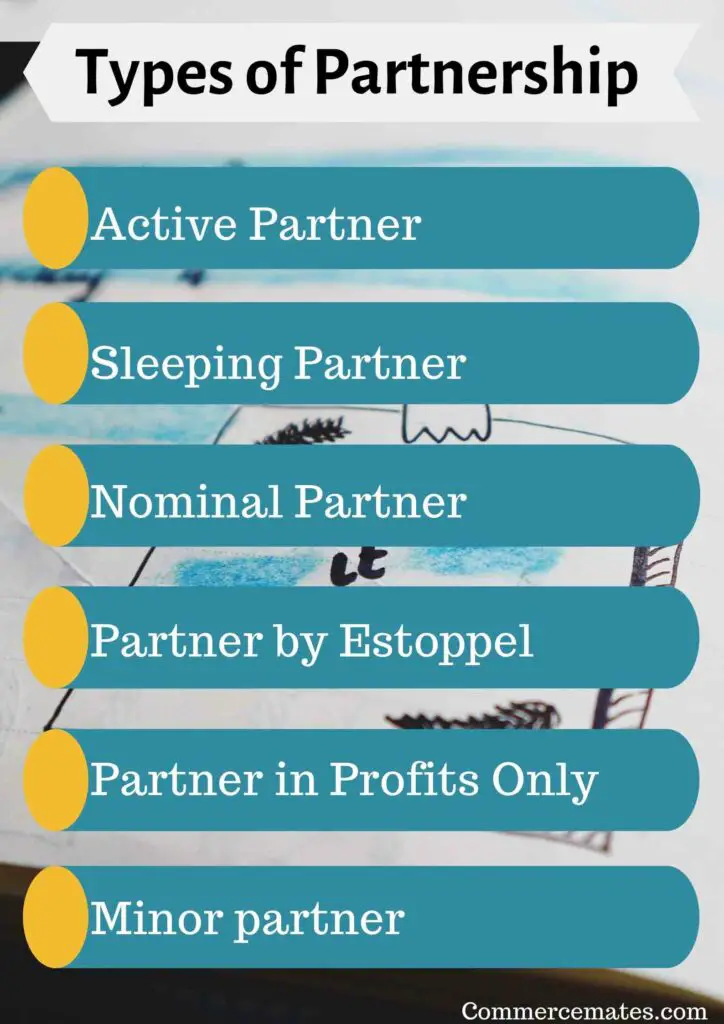 Types of Partnership in Business