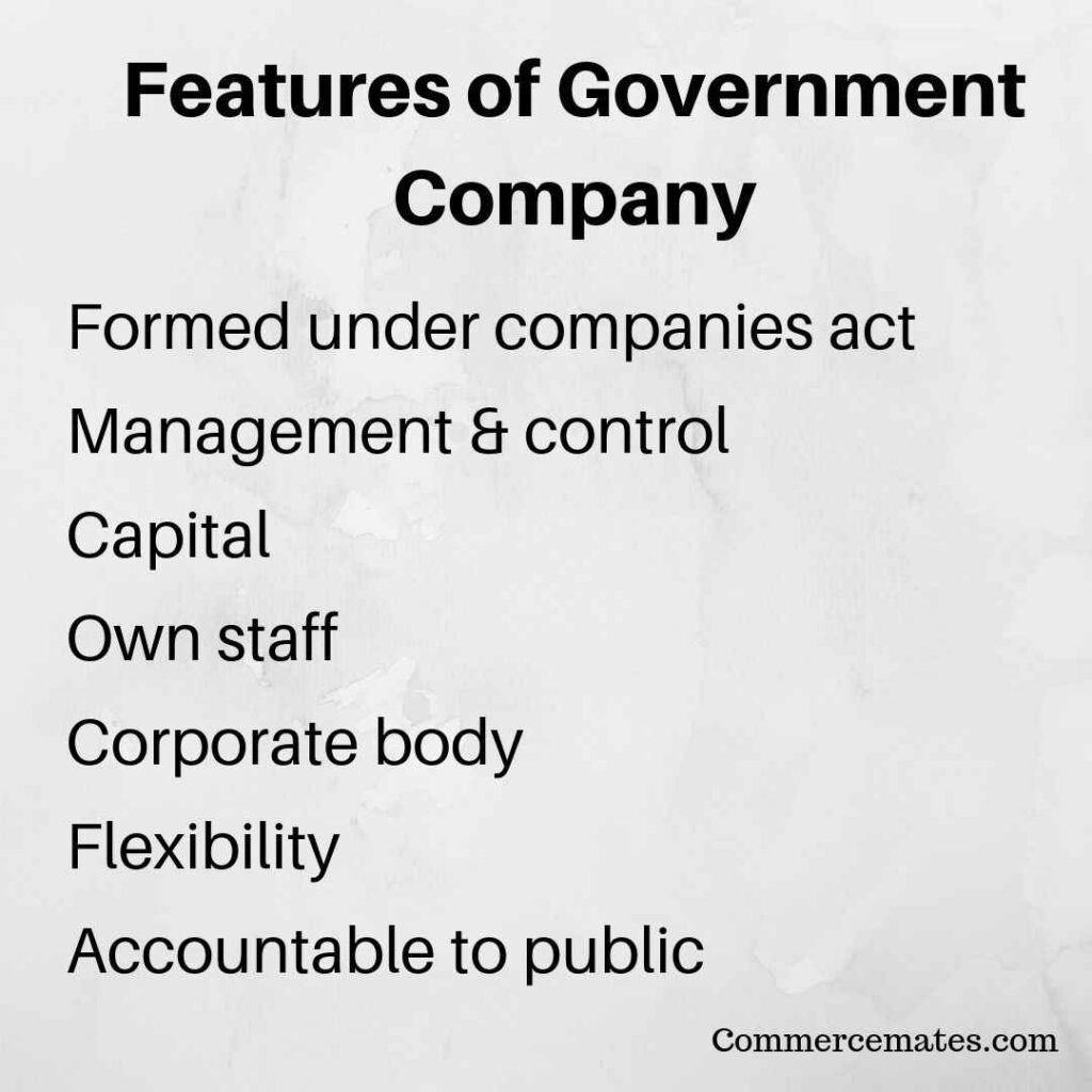Features of Government Company