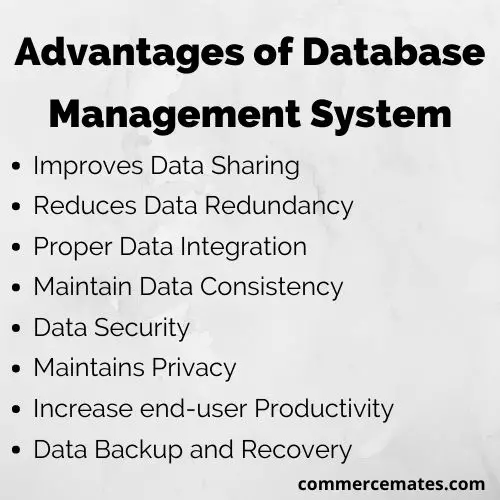 Advantages of Database Management System