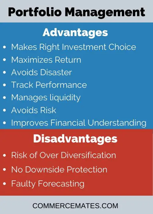 advantages-and-disadvantages-of-portfolio-management