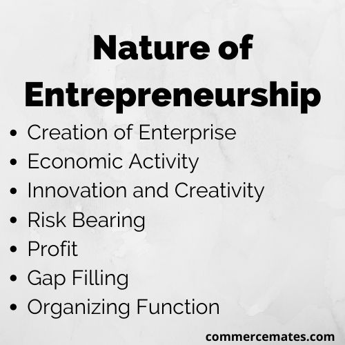 Nature of Entrepreneurship