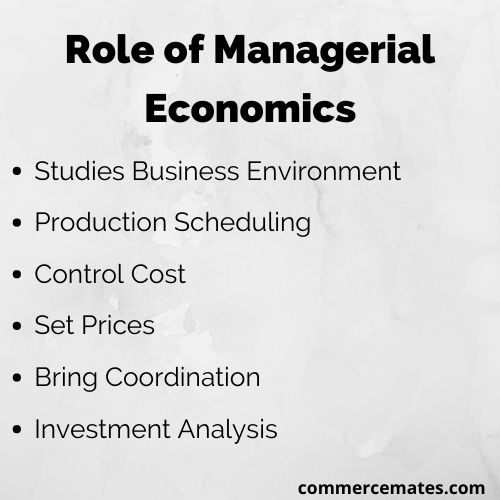 Role of Managerial Economics