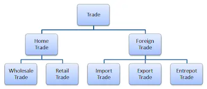 What is Trade? Types; Importance; Advantages; disadvantages