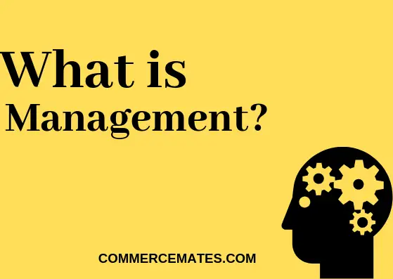 What is Management? Definitions, Characteristics, Function