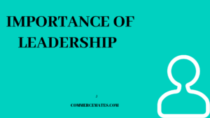 IMPORTANCE OF LEADERSHIP