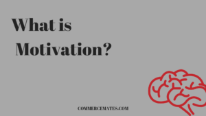 What is Motivation