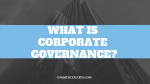 What is corporate GOVERNANCE?