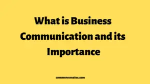 What is Business Communication and its Importance