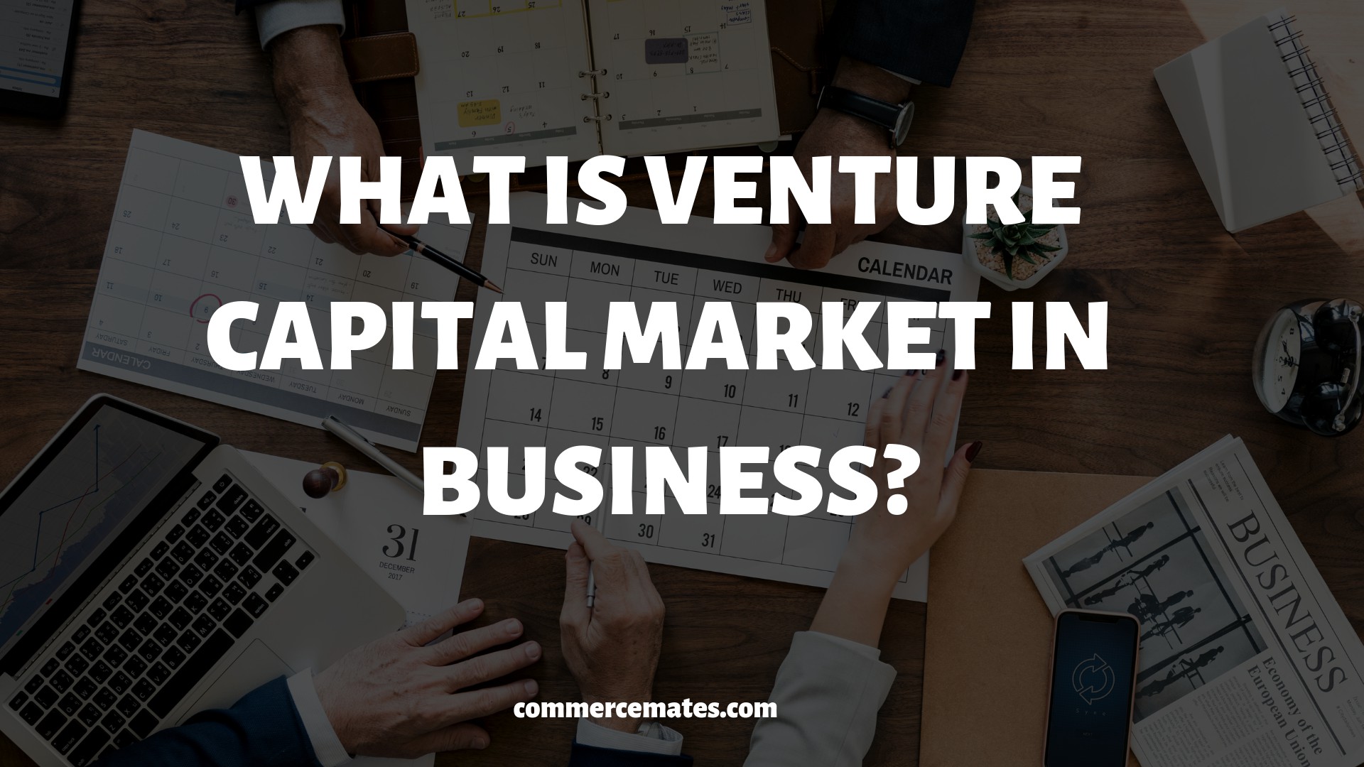 Venture Capital Advantages & Disadvantages