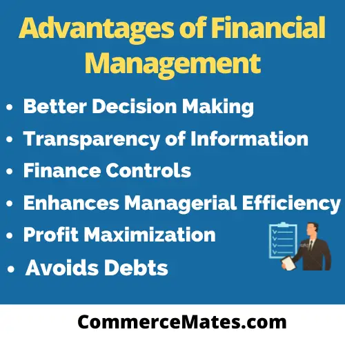 Advantages And Disadvantages Of Financial Management