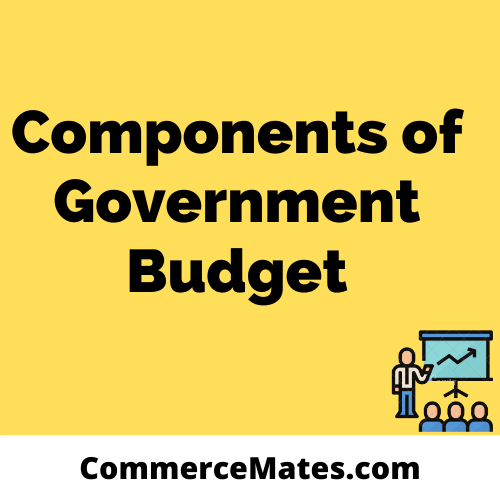 Components of Government Budget