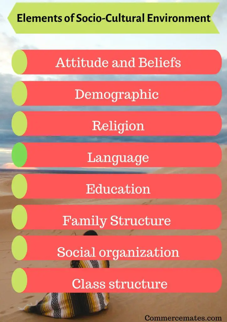 Elements of Socio-Cultural Environment