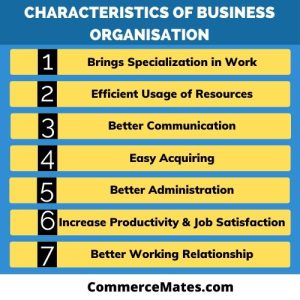 Characteristics and Types of Business Organisation