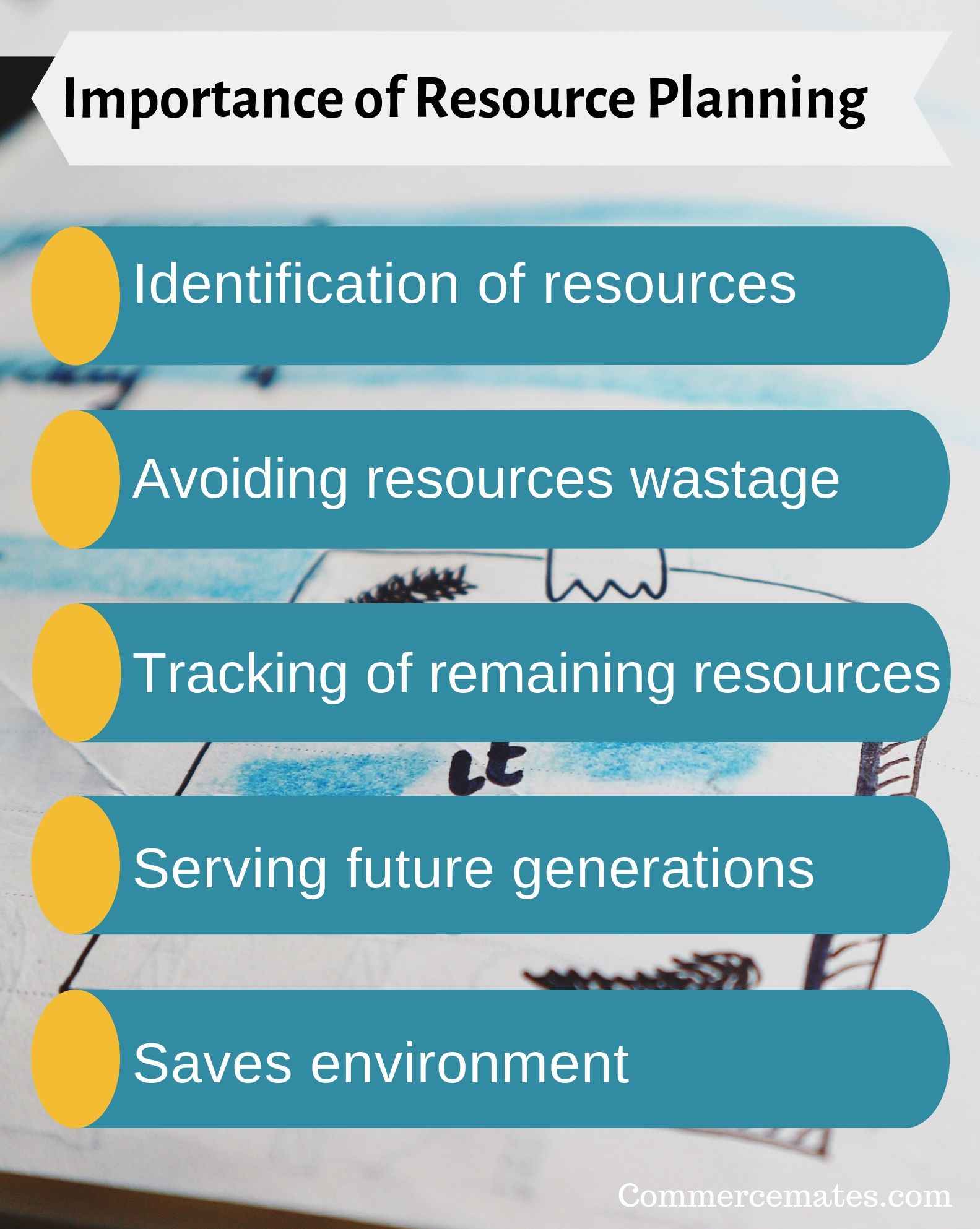 5 Importance Of Resource Planning