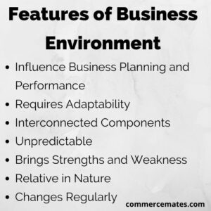 Features of Business Environment