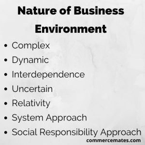 Nature & Scope of Business Environment | With PDF