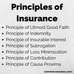 Principles of Insurance