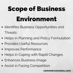 Scope of Business Environment