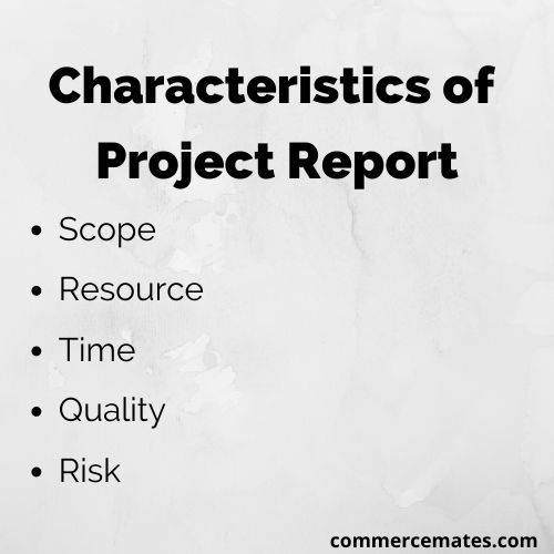 Characteristics of Project Report