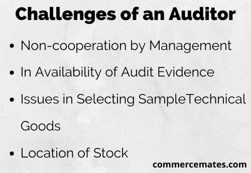 Challenges of an Auditor