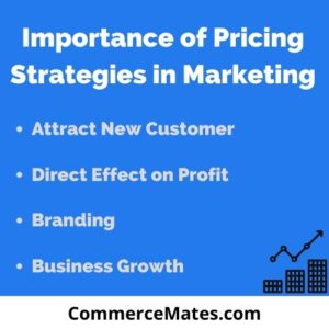 Importance of Pricing Strategies in Marketing