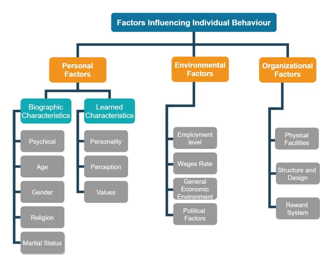 What factors influence the choice. External environment of the Organization. Organizational Behavior. Types of Behavior in the Organization. Structure many Perceptions.