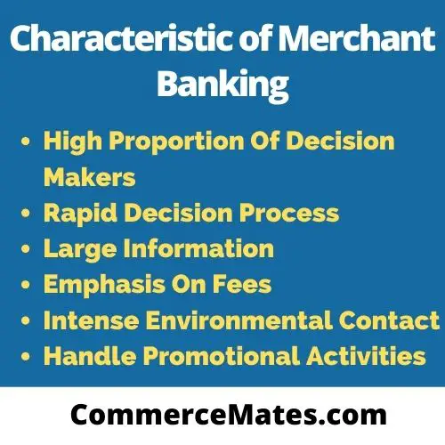 nature-characteristics-and-scope-of-merchant-banking