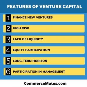 what do you mean by venture capital