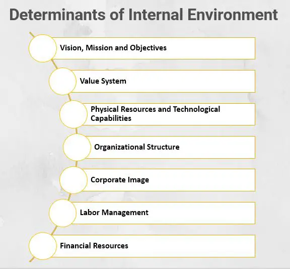 Determinants of Internal Environment 