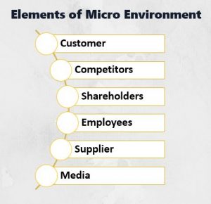 Meaning and Elements of Micro Environment