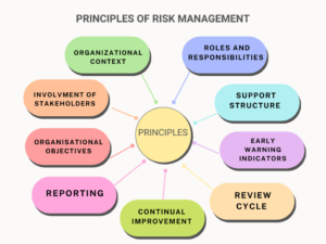 Risk management: Meaning, Principles, Benefits and Steps
