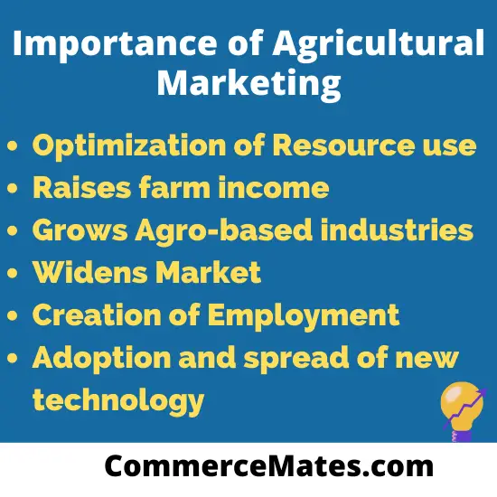 importance-of-agricultural-marketing